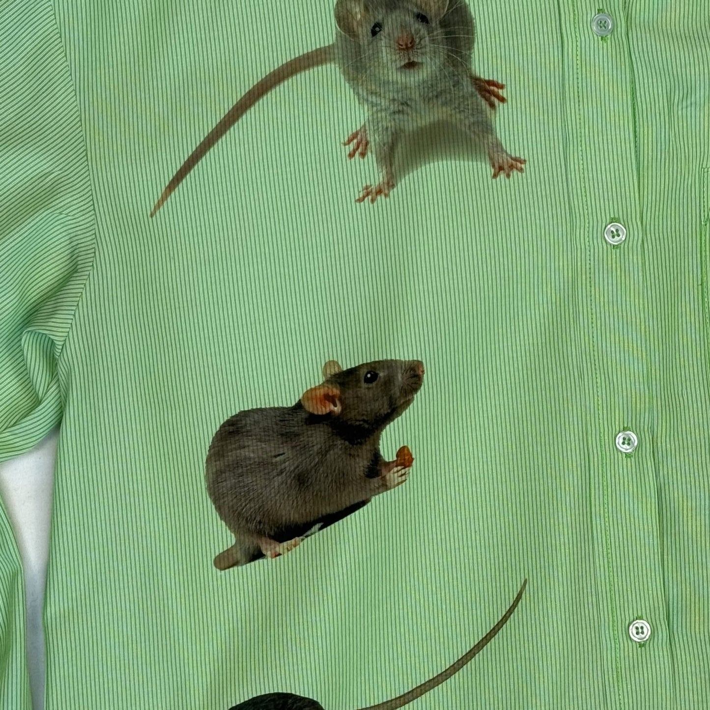 RATS EVERYWHERE GREEN STRIPED BLOUSE - M