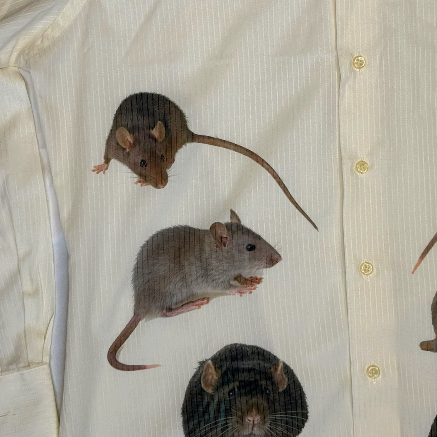 RATS EVERYWHERE STRIPED CREAM BUTTON UP -  MENS L