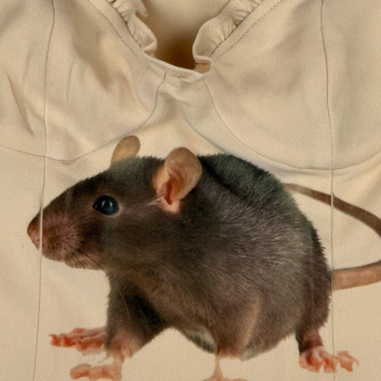LITTLE RAT LONG SLEEVE BLOUSE - XS/S