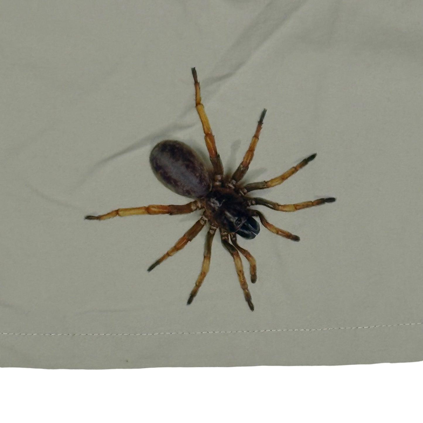 CREEPY CRAWLY TANK - XS