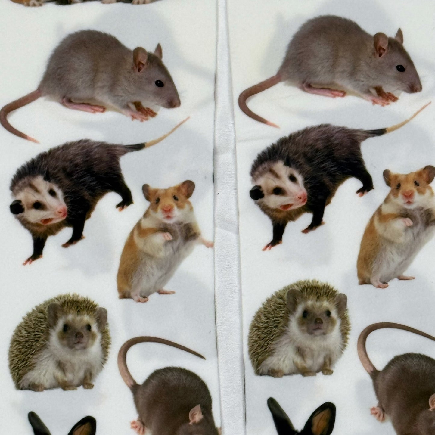CRITTER TIGHTS **PRE-ORDER**