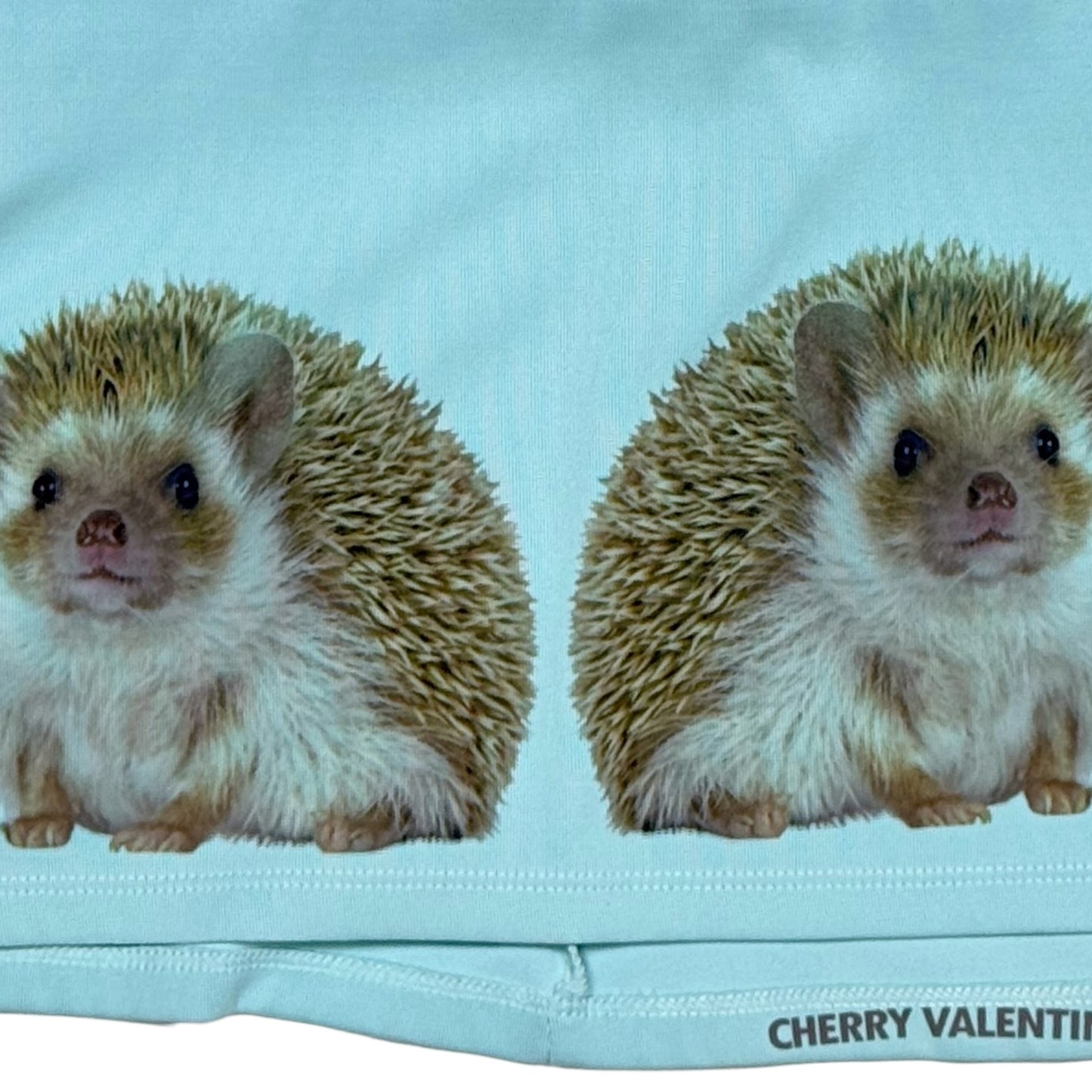 HEDGEHOG SKY BLUE TANK TOP - L