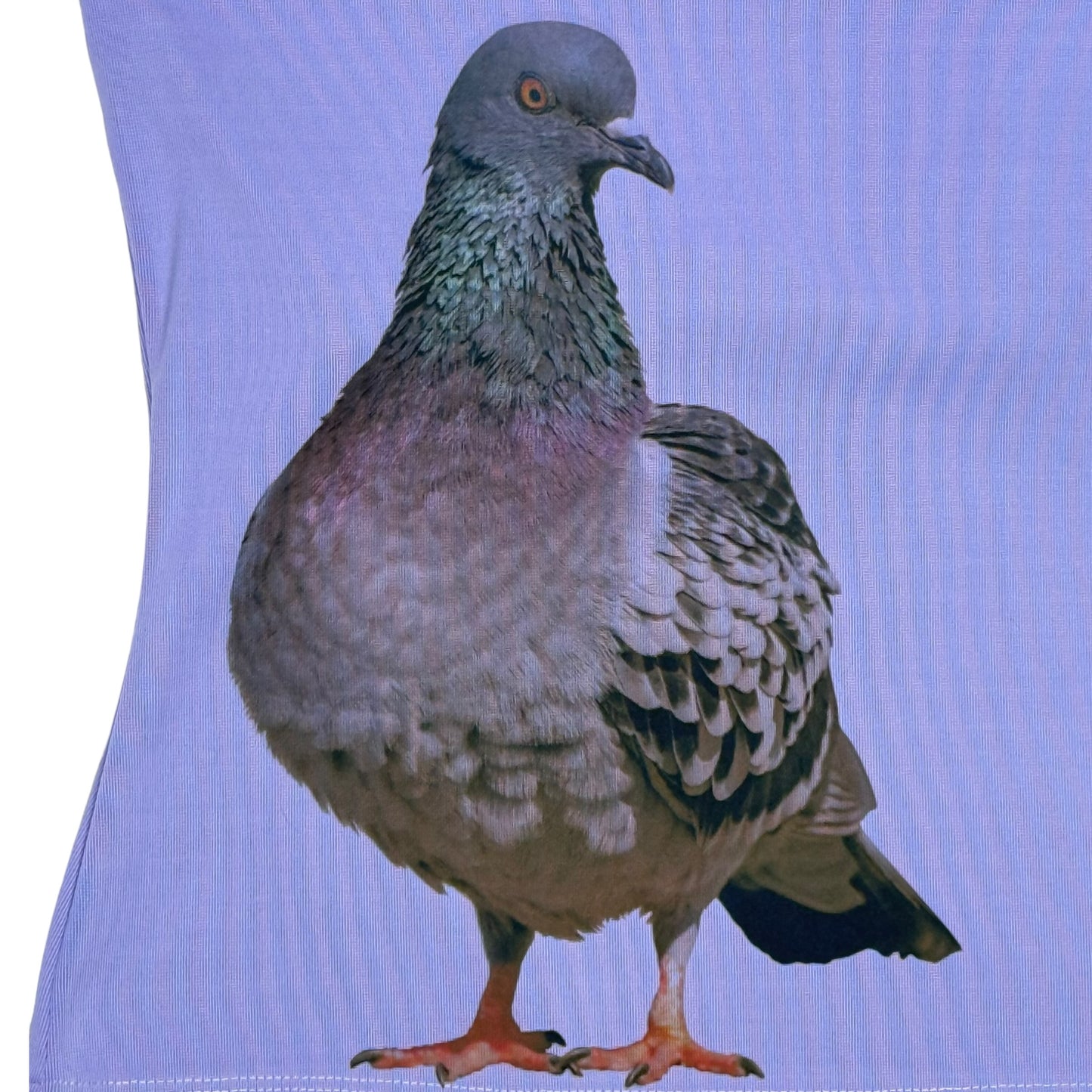 PIGEON PERIWINKLE TANK - L