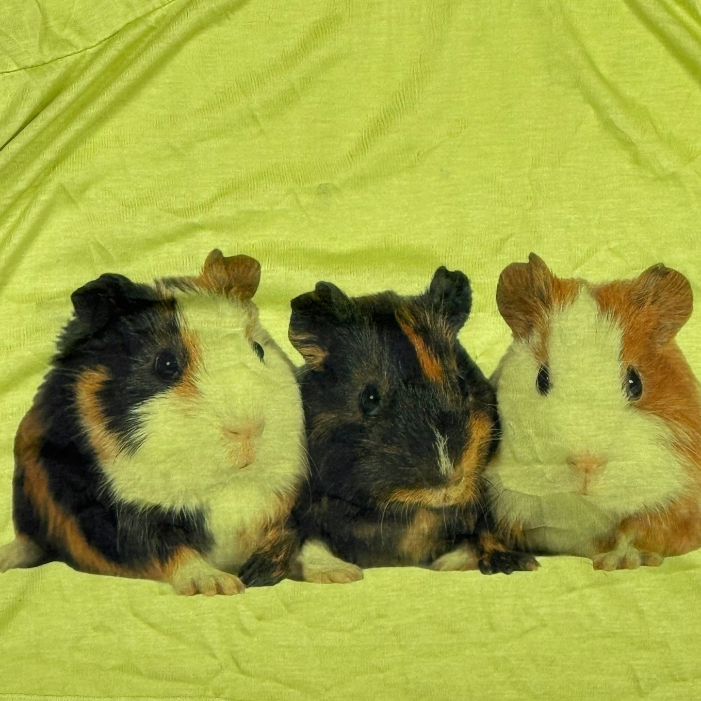 GUINEA PIGS CHARTRUSE WHIMSY BLOUSE