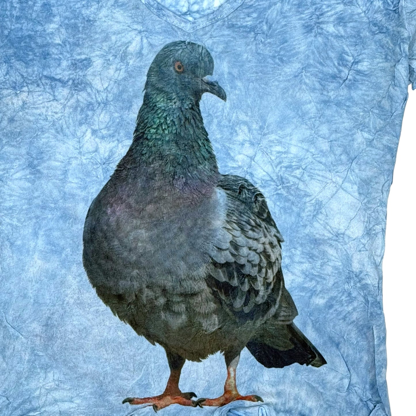 PIGEON TIE DYE LONG SLEEVE - M