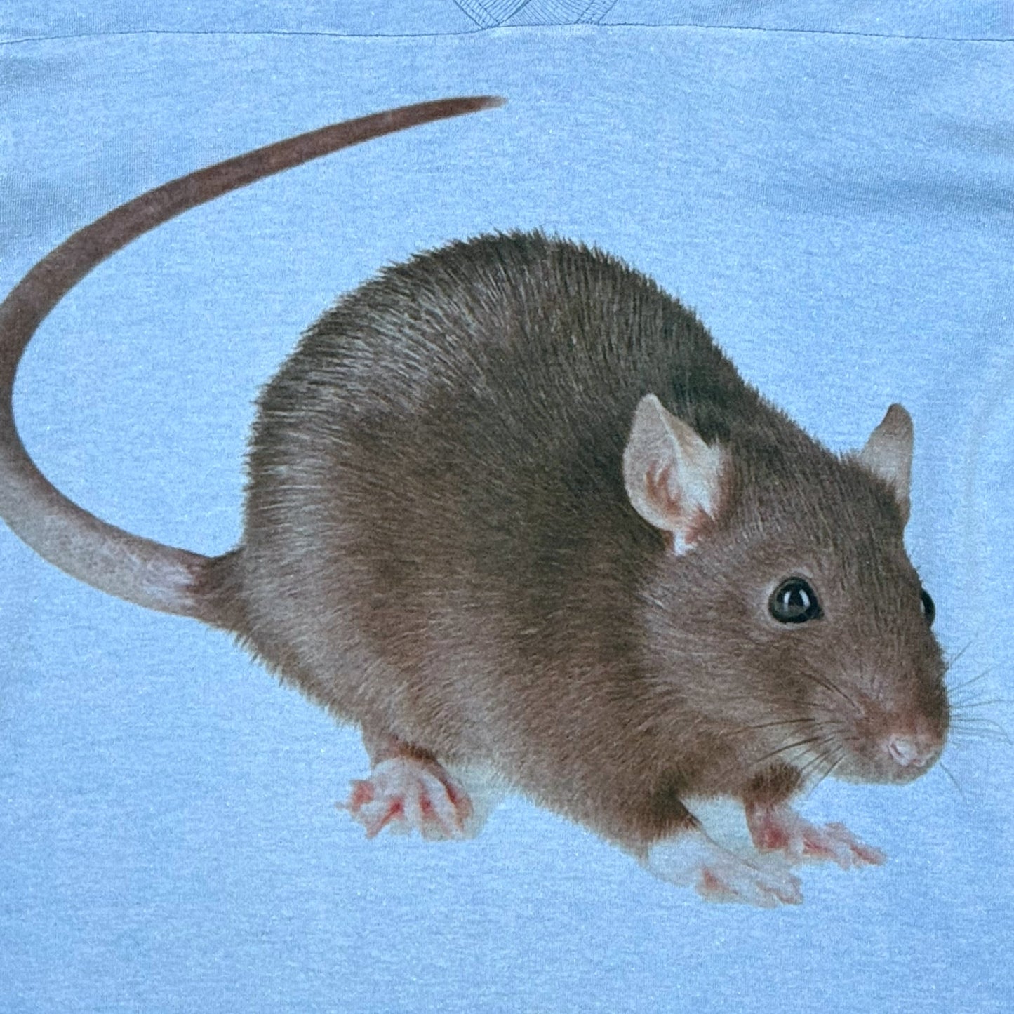 BIG RAT FOOTBALL TEE - S