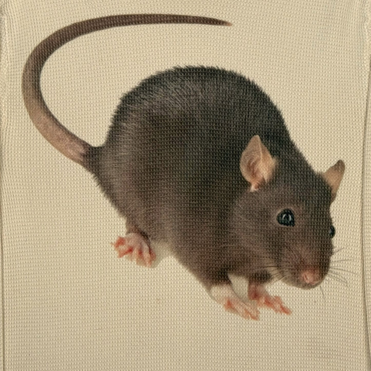 BIG RAT THERMAL LONG SLEEVE - M