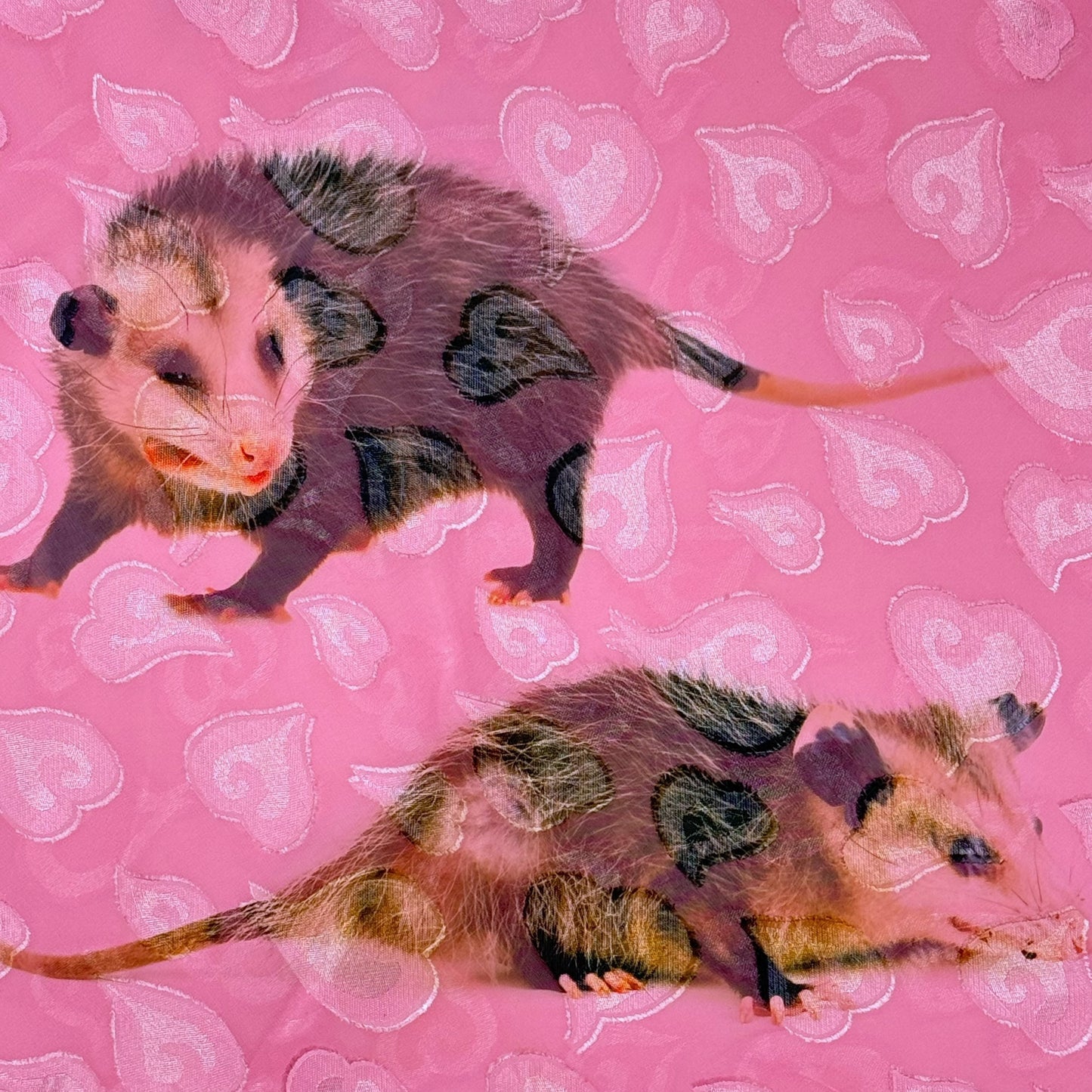 OPOSSUM PINK HEART DRESS - M
