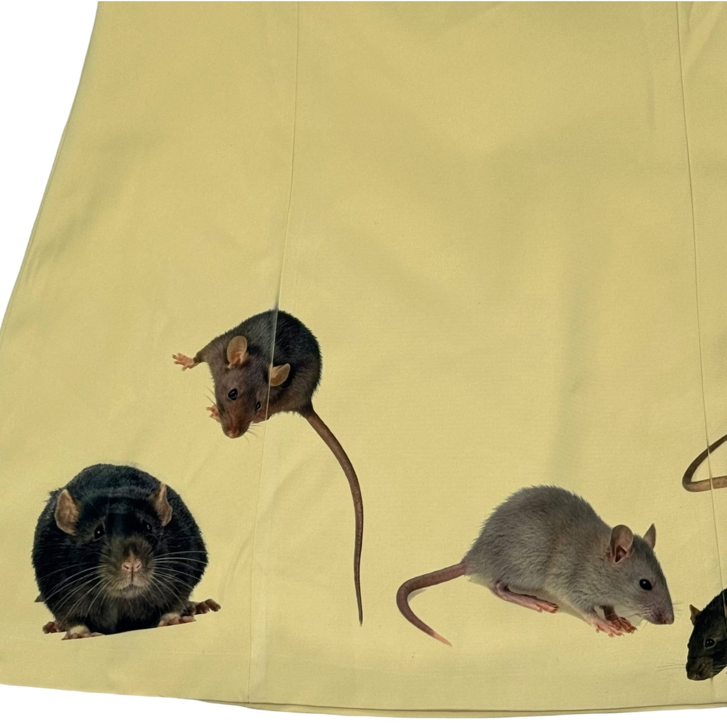 RAT KING YELLOW DRESS - 1XL