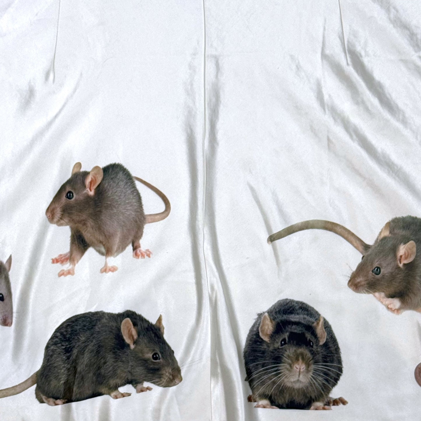 ROMANTIC RATS DRESS- 3X