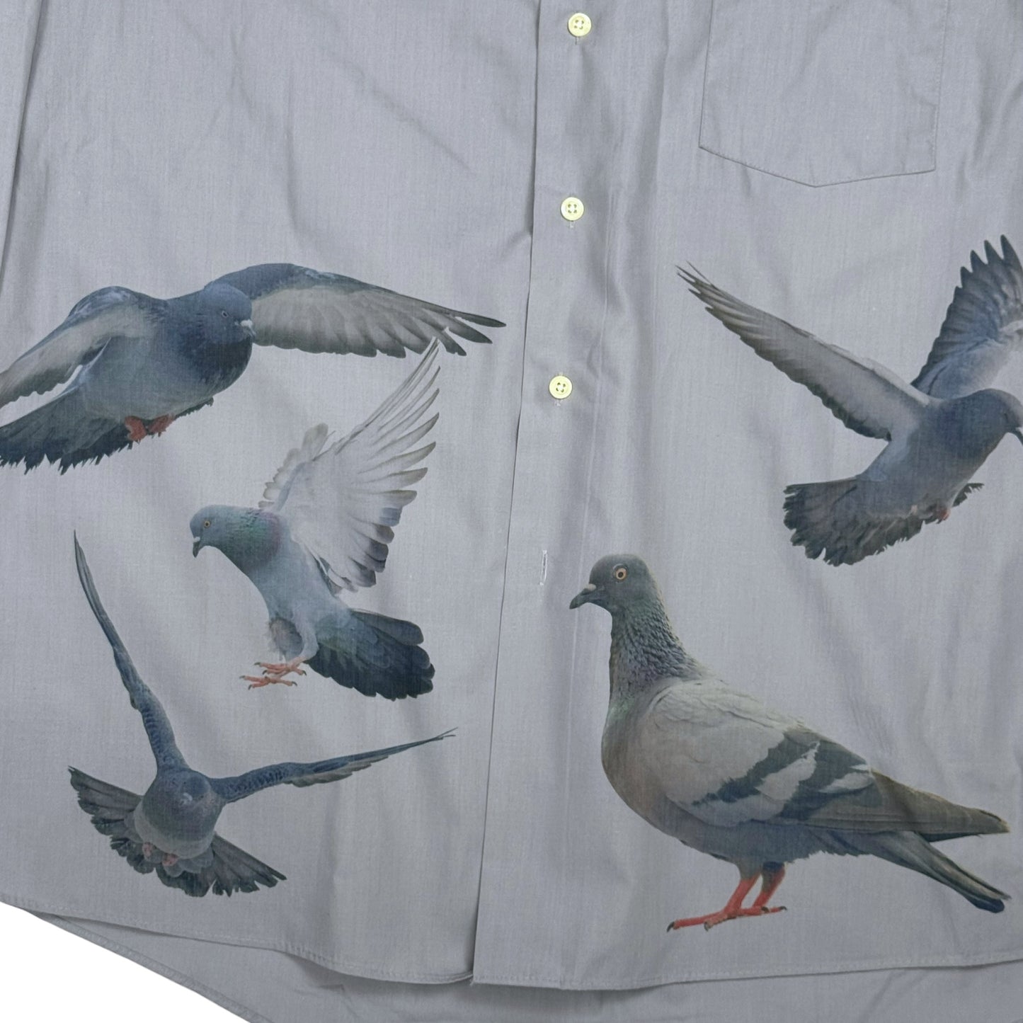 GRAY PIGEON BUTTON UP - MENS XL
