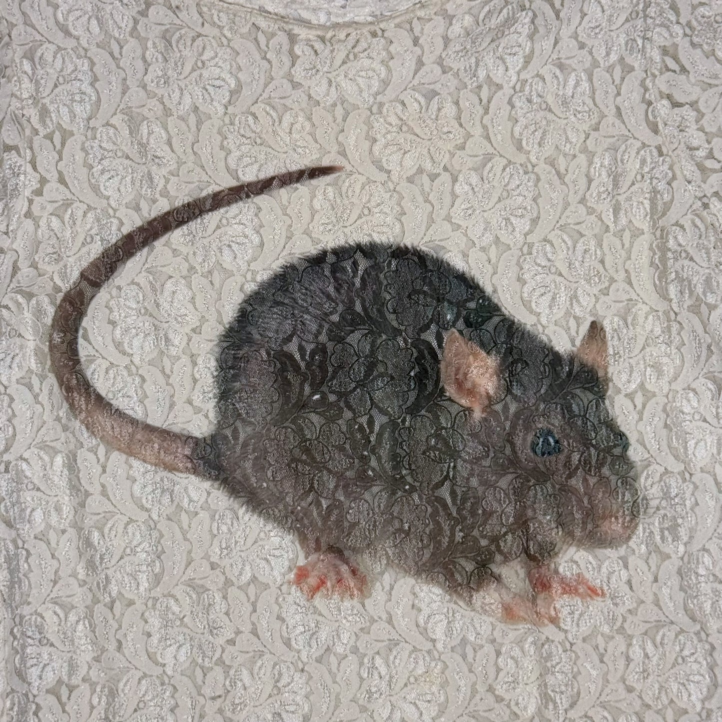 BIG RAT LACE TEE - L/XL