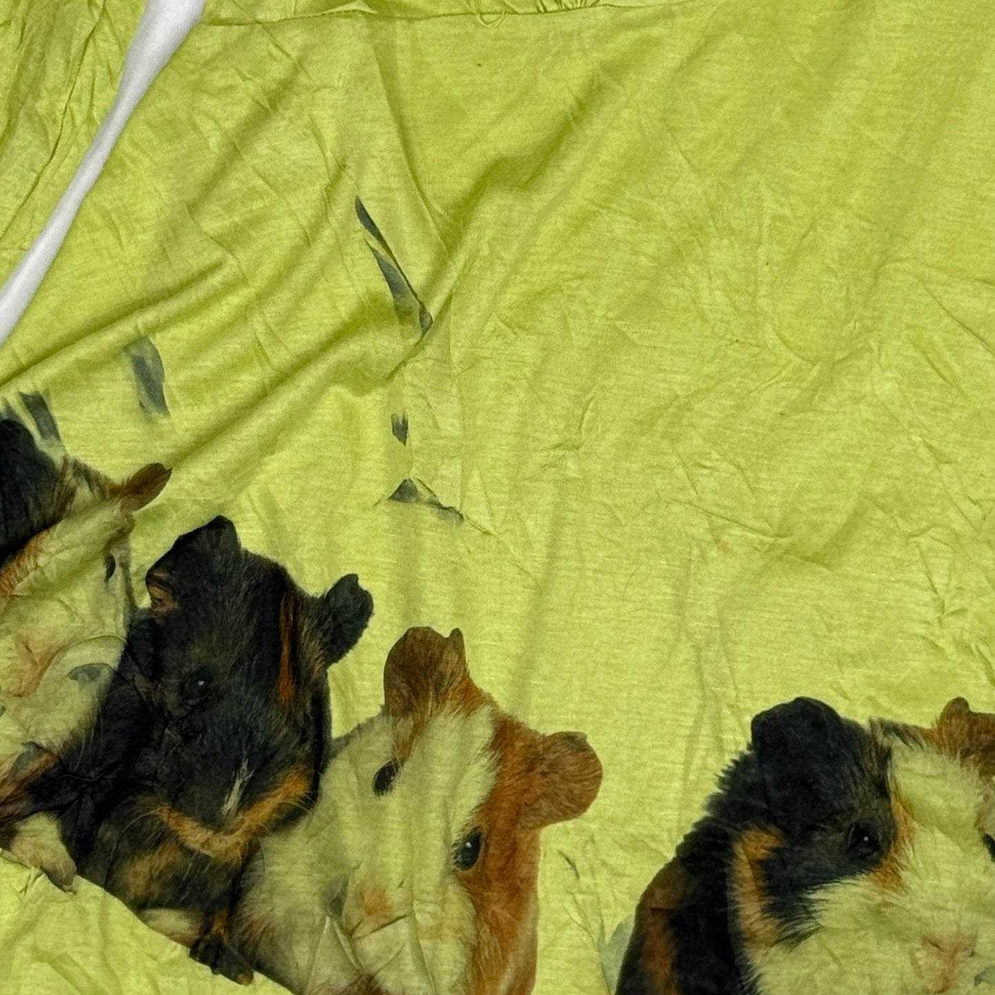 GUINEA PIG WHIMSY GREEN TOP - 2X/3X