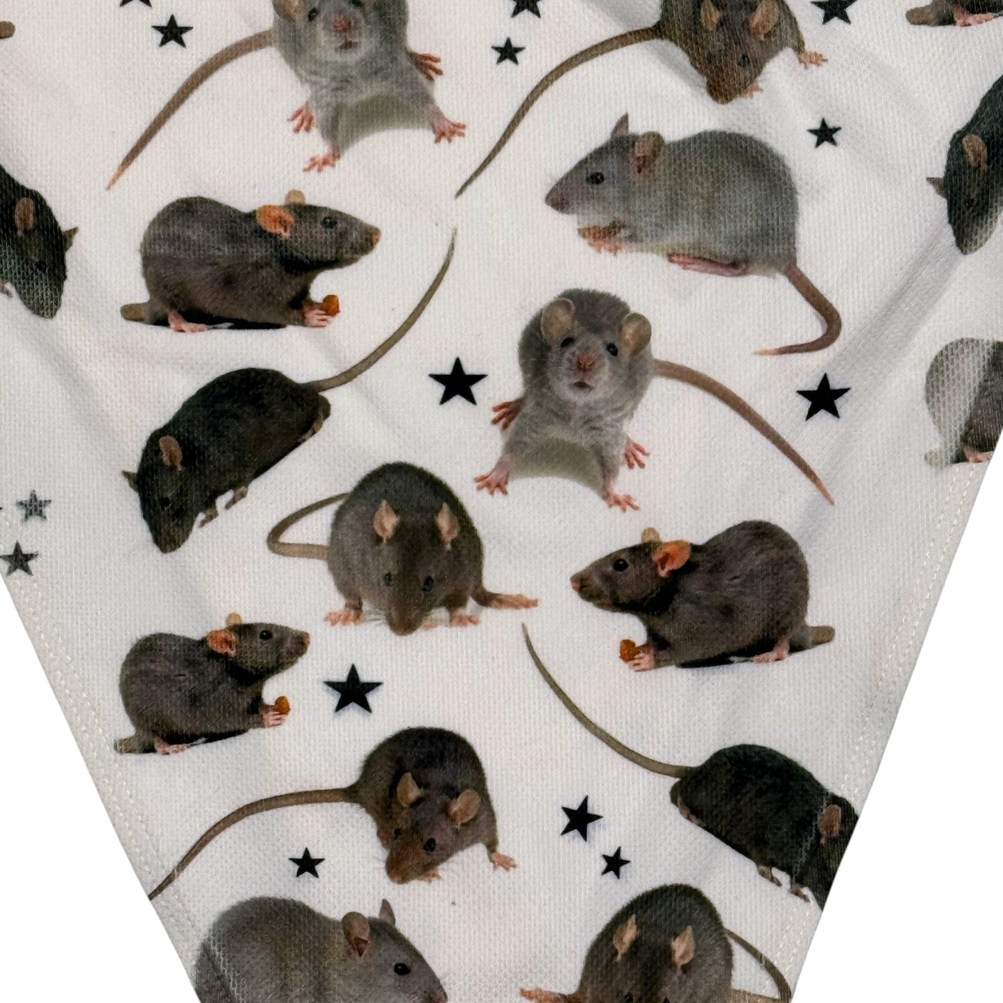 RAT FRIENDS BIKINI - 4XL