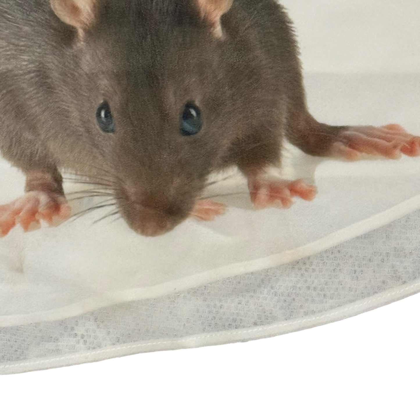 RAT FRIENDS WHITE TANK TOP - 2X