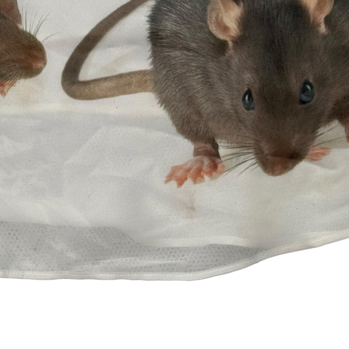 RAT FRIENDS WHITE TANK TOP - 2X