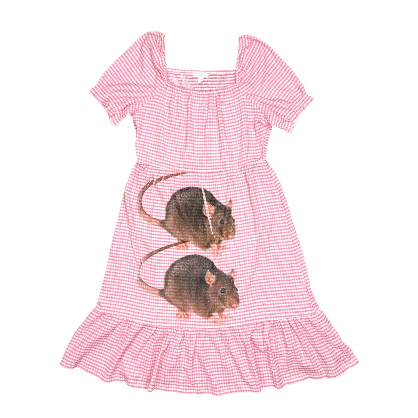 BIG RAT PINK GINGHAM DRESS - 2X