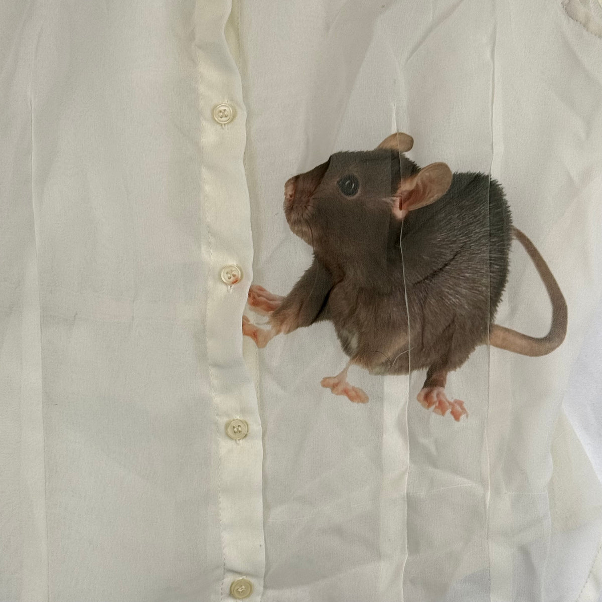RATS WHITE SAMPLE BLOUSE - L