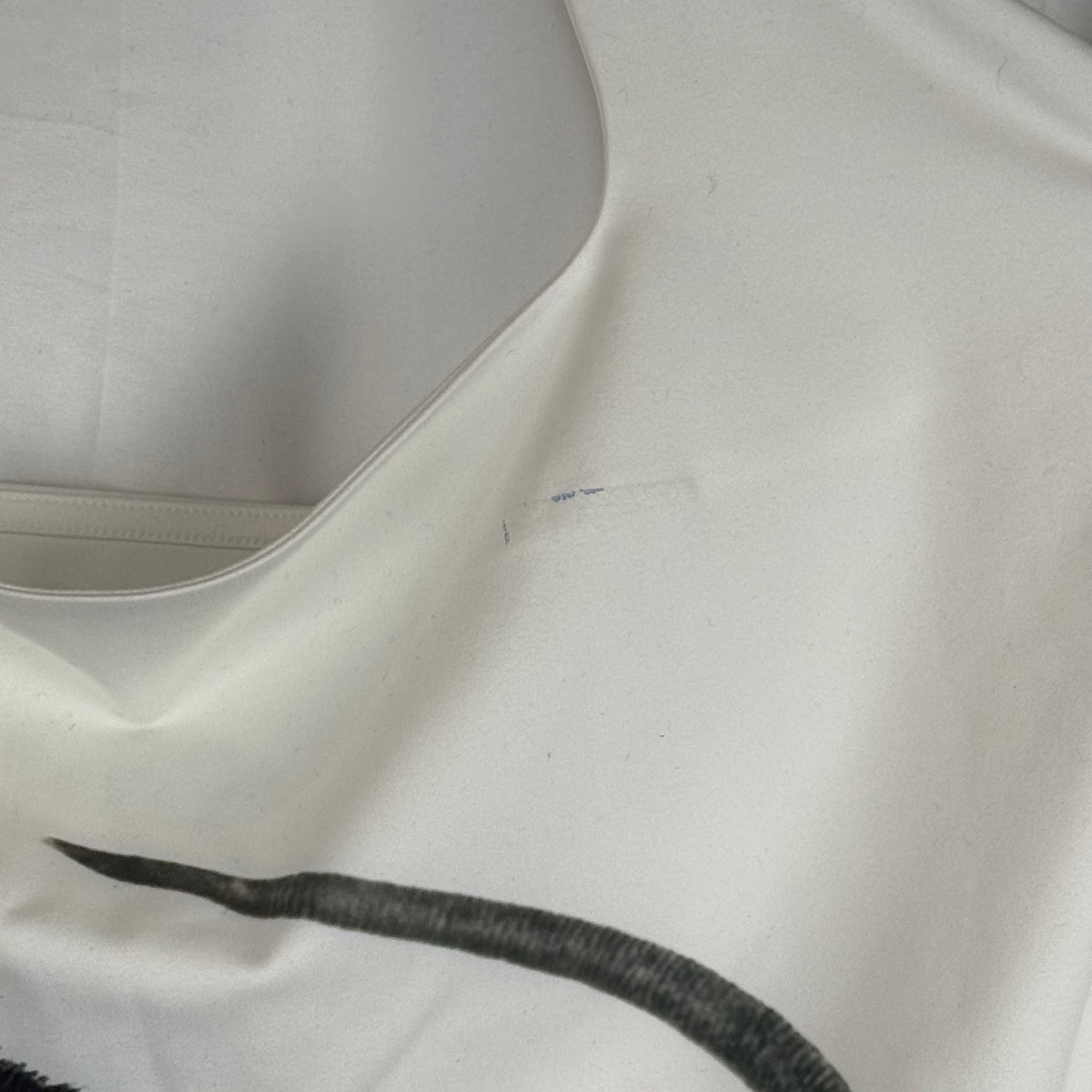 BIG RAT SAMPLE HALTER TANK - 4X